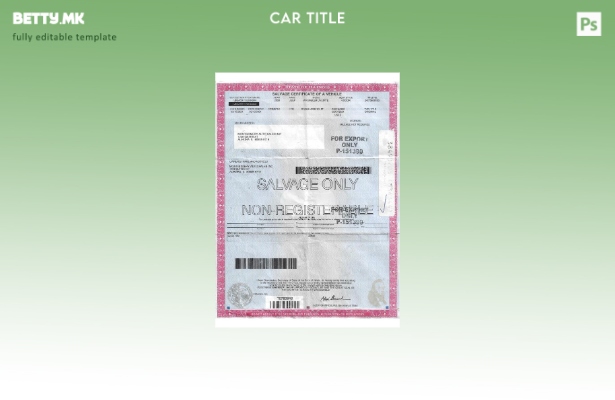 Модерен стил САД Илиноис за спасување сертификат на шаблон возило